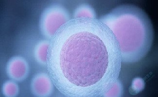 比AMH更关键！2个指标打开卵泡生长的“开关”，让卵泡从少变多，由弱转强