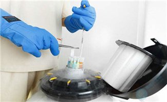 胚胎养成记：一文读懂鲜胚、囊胚、冻胚！