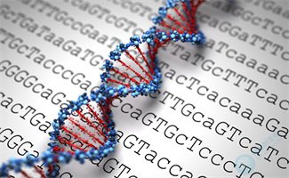 染色体微缺失/重复，会有什么影响？