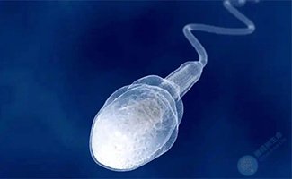 父亲孕前行为可“写入”精子，跨代影响不容小觑！