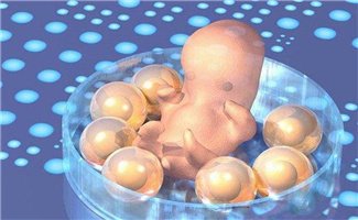 想要养囊顺利？先排查这2个影响因素