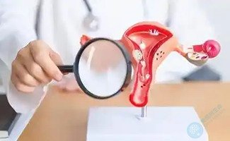 试管备孕攻略：移植前调理宫腔，让宝宝顺利“安家”！