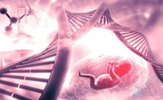 减少近48%卵子染色体异常风险！ESHRE重磅发现，为高龄备孕迎来新方向